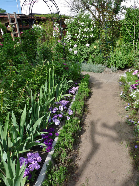  - 2022 - 01 - Primavara