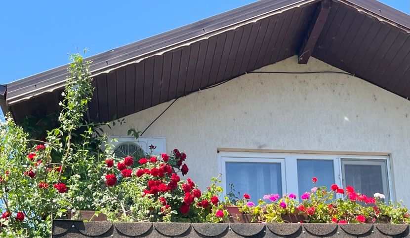 508E8C72-A1C8-4969-8A04-5AF379C3C78E - Muscate 2021 22