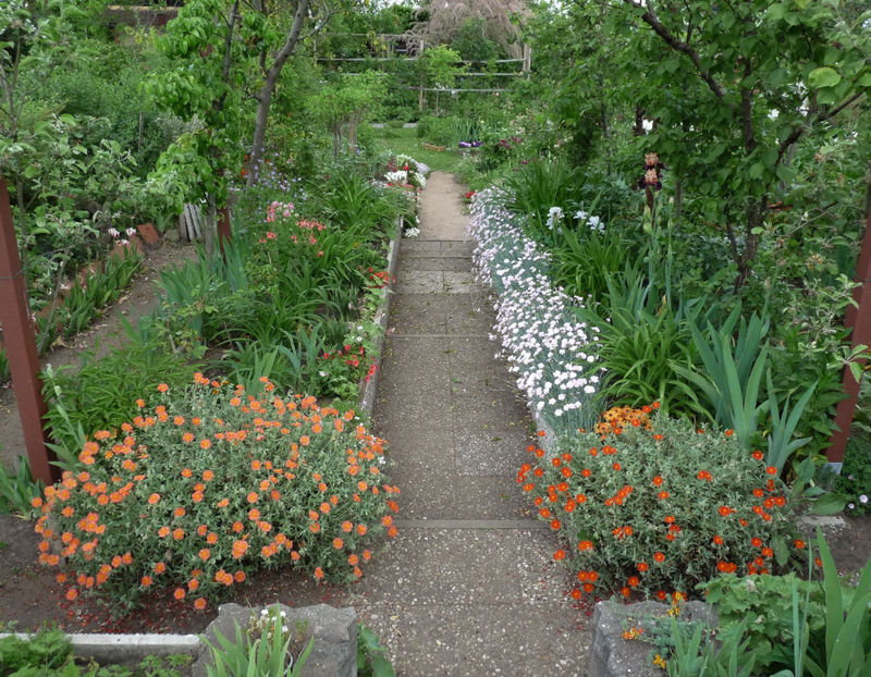  - 2022 - 01 - Primavara