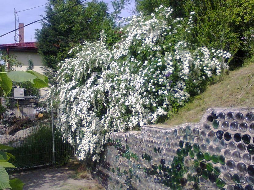 Fotografie6360 - 2022 mai 11 Inceput de vacanță la grădina!