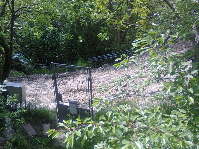 Fotografie6361 - 2022 mai 11 Inceput de vacanță la grădina!