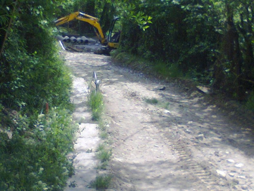 Fotografie6366 - 2022 mai 11 Inceput de vacanță la grădina!