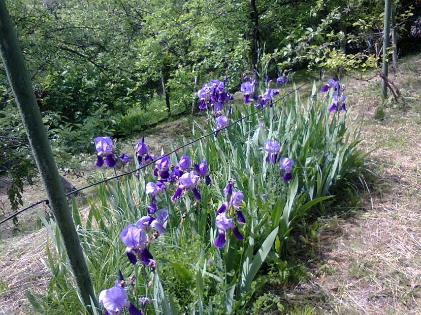 Fotografie6372 - 2022 mai 11 Inceput de vacanță la grădina!