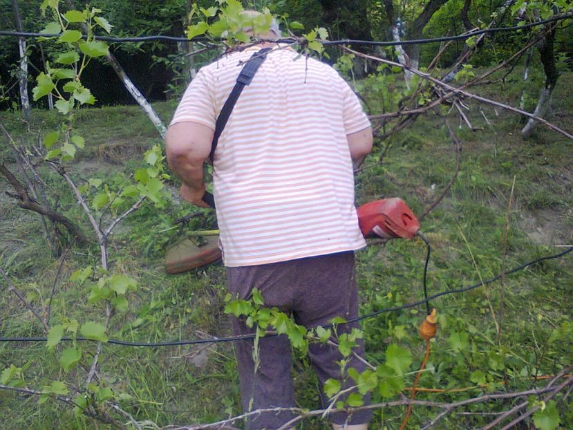 Fotografie6373 - 2022 mai 11 Inceput de vacanță la grădina!