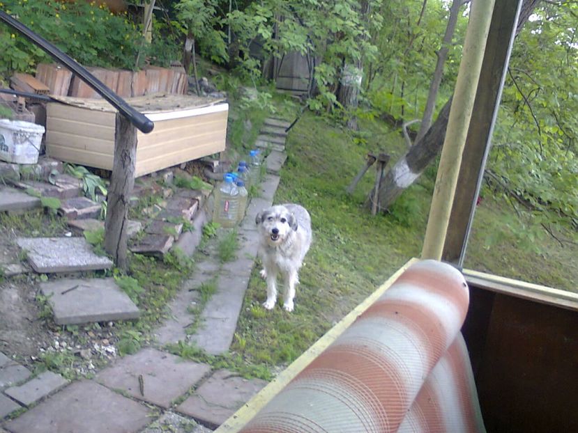 Fotografie6377 - 2022 mai 11 Inceput de vacanță la grădina!