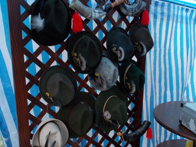 MODELE DE PALARII - PIATRA NEAMT ORASUL MEU SI INPREJURIMI