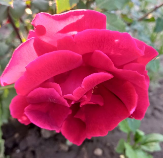  - Sub tutela soarelui