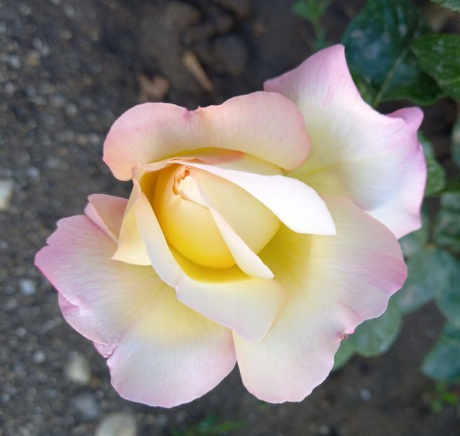  - Sub tutela soarelui