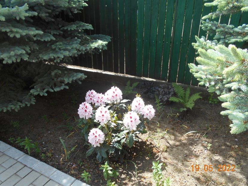  - 02 Primavara 2022