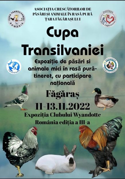1E818370-2EBB-49CD-9D51-5214D852325B - Expozitia Club Wyandotte Romania editia a lll a
