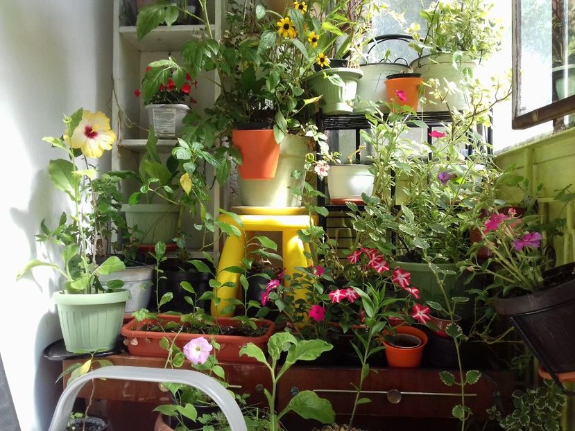 E gata! ;) - Linişte şi flori