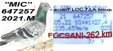 LOC.7 - 2022 POZE