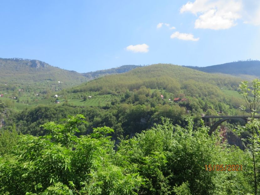  - 2 Kolasin - canionul Tara - Podgorica - Cetinje