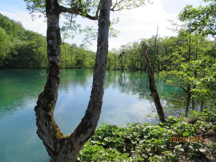  - 7 Plitvice