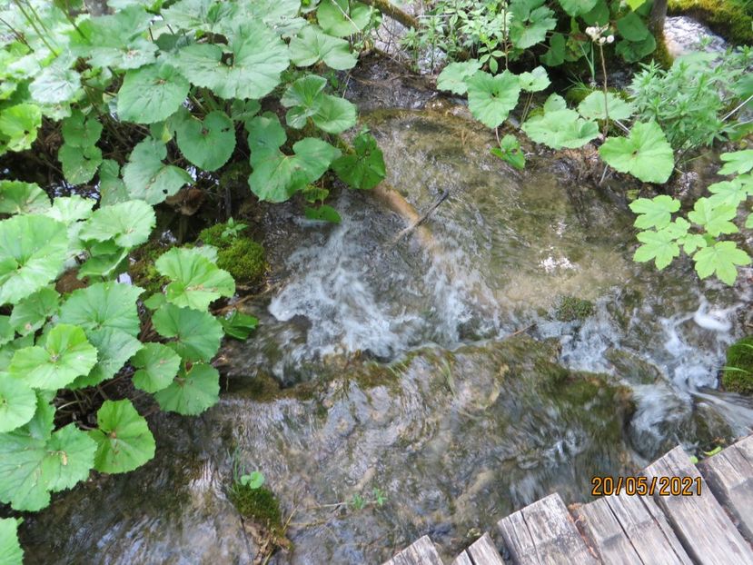  - 7 Plitvice
