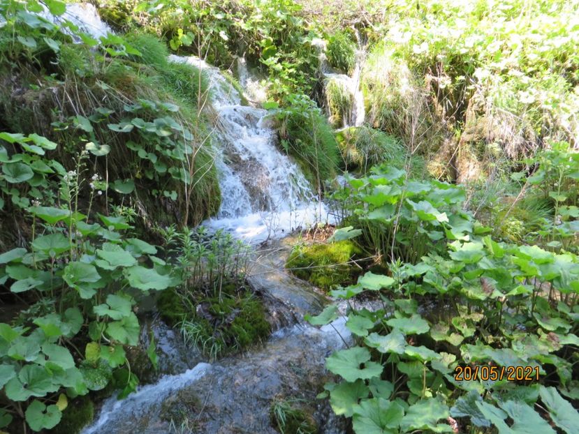 - 7 Plitvice