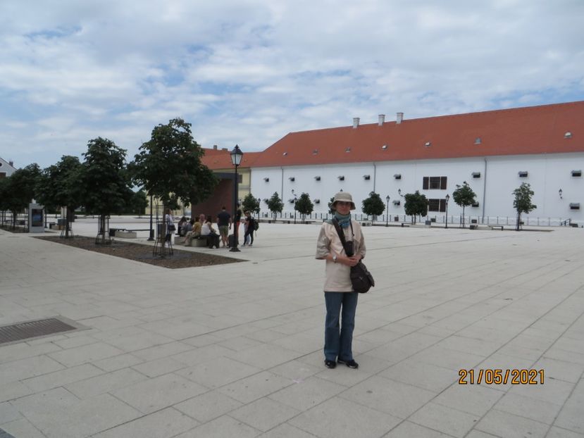  - 9 Osijek - Vukovar - Novi Sad