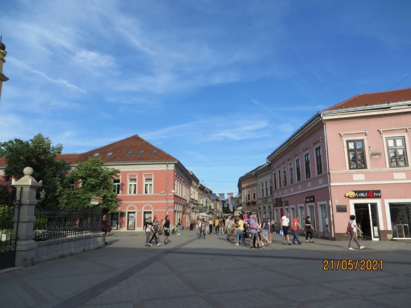  - 9 Osijek - Vukovar - Novi Sad