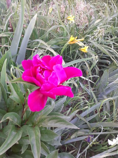  - Mai 2022 volumul 2