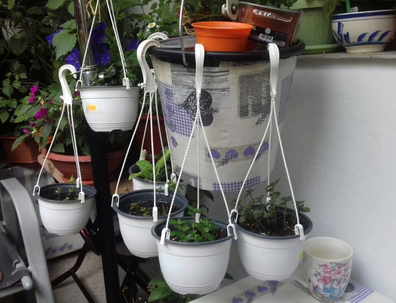 Găleata-inimioară cu achi ;))) - Linişte şi flori