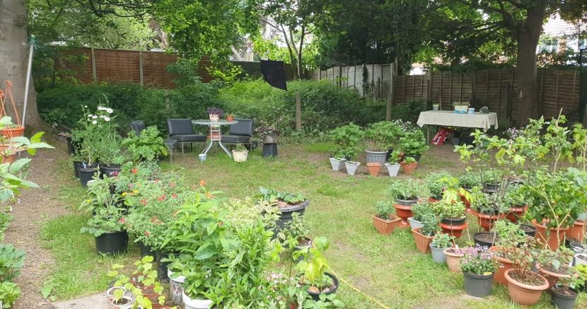 received_4894729743957671 - - Gradina 2022