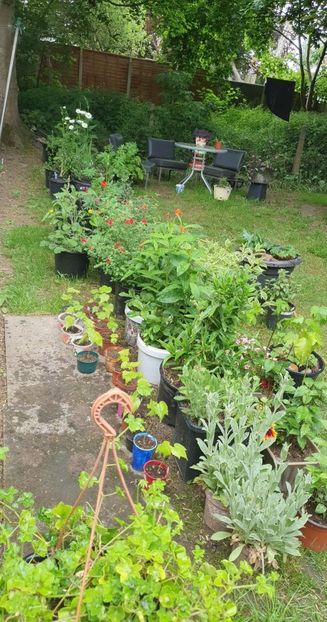 received_517168863438023 - - Gradina 2022