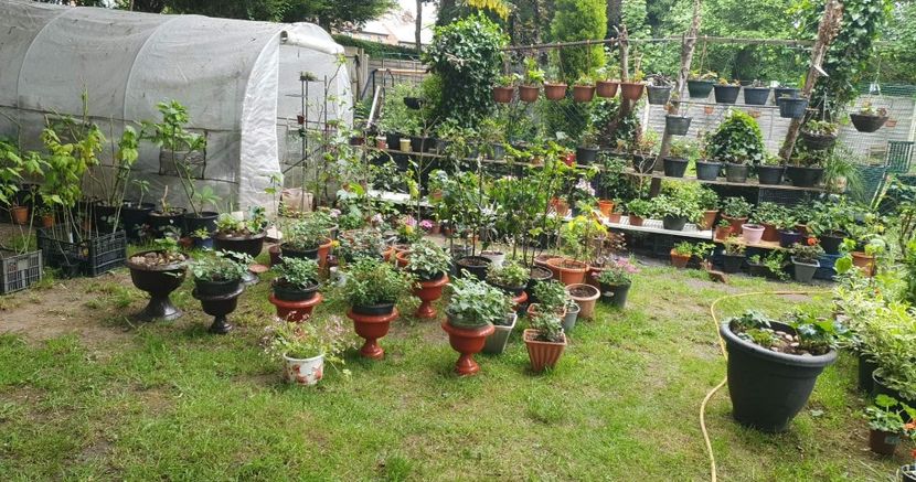 received_5062429313872282 - - Gradina 2022