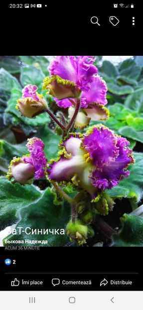 Screenshot_20220524-203232_Facebook - 2aaaa