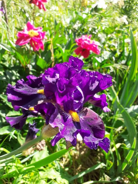  - Mai 2022 volumul 2