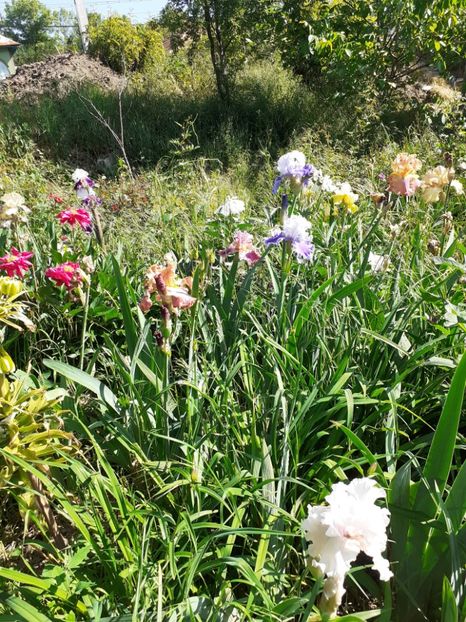  - Mai 2022 volumul 2