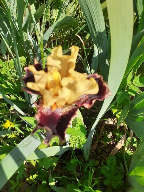  - Mai 2022 volumul 2