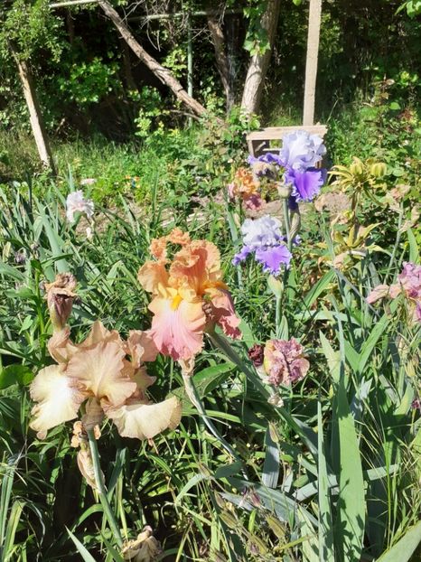  - Mai 2022 volumul 2