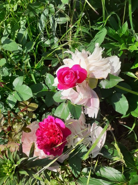  - Mai 2022 volumul 2