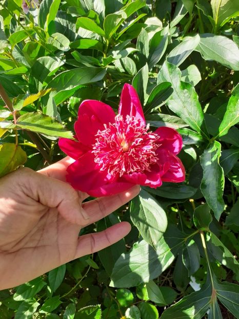  - Mai 2022 volumul 2