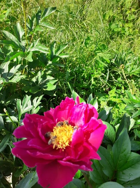  - Mai 2022 volumul 2