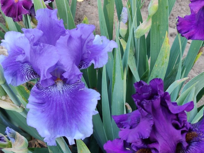 Money in your pocket - Ma - Ru