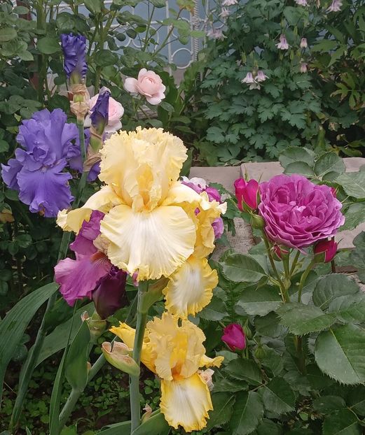  - MAI - luna lui FLORAR