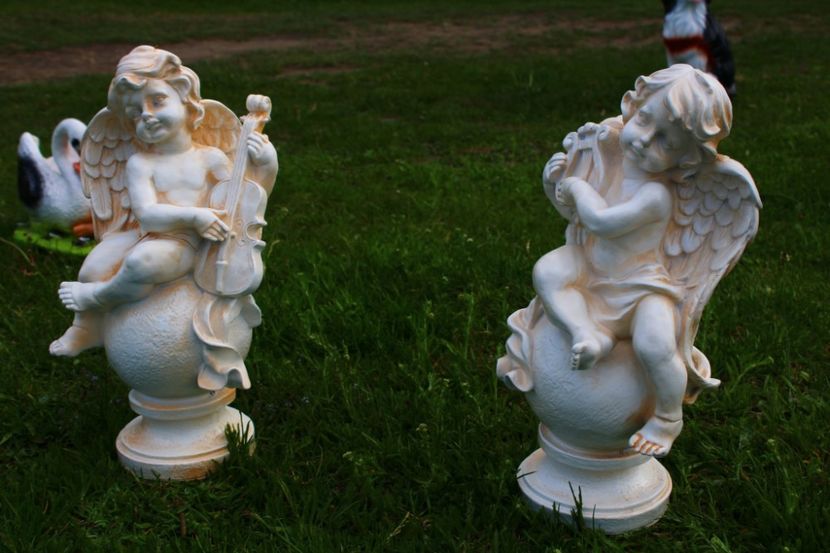 IMG-20220515-WA0024 - Ornamente gradina 2022