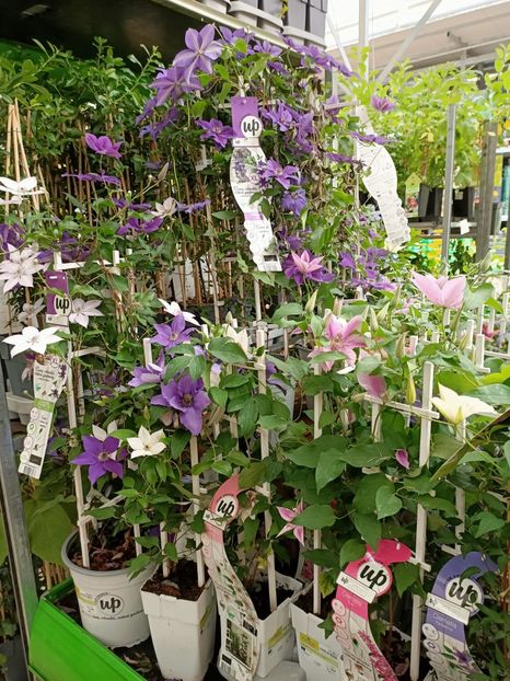 Img.2022.05.27 - Magazinul