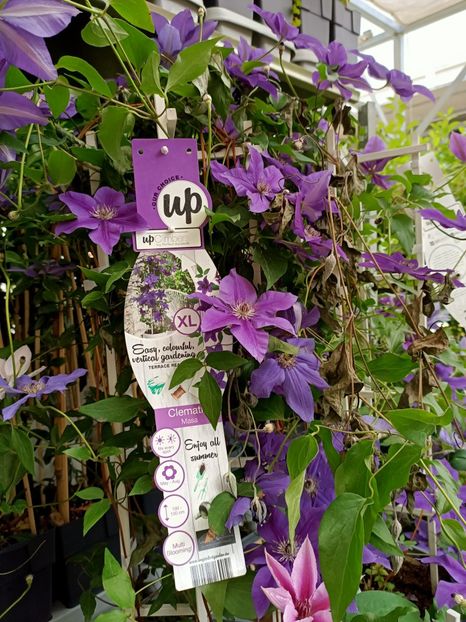 Img.2022.05.27 - Magazinul