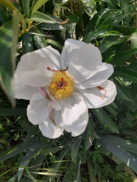  - Mai 2022 volumul 2