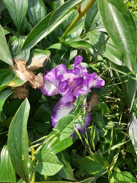  - Mai 2022 volumul 2