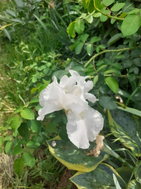  - Mai 2022 volumul 2