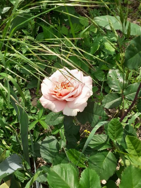  - Mai 2022 volumul 2