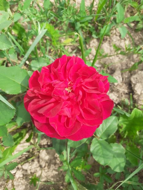  - Mai 2022 volumul 2