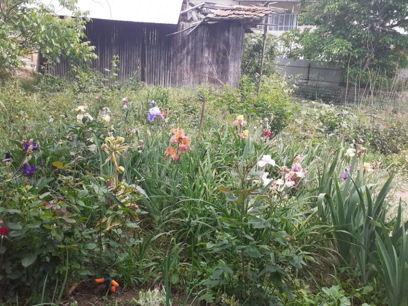  - Mai 2022 volumul 2