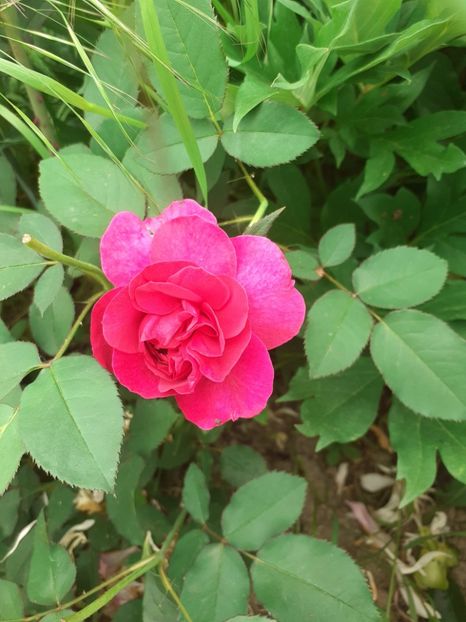  - Mai 2022 volumul 2