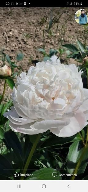 Screenshot_20220527-201131_Facebook - Mai 2022 volumul 2