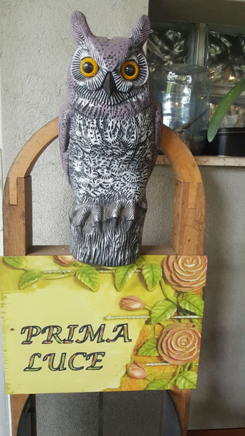  - Gradina si terasa PrimaLuce_9-Hello 2022