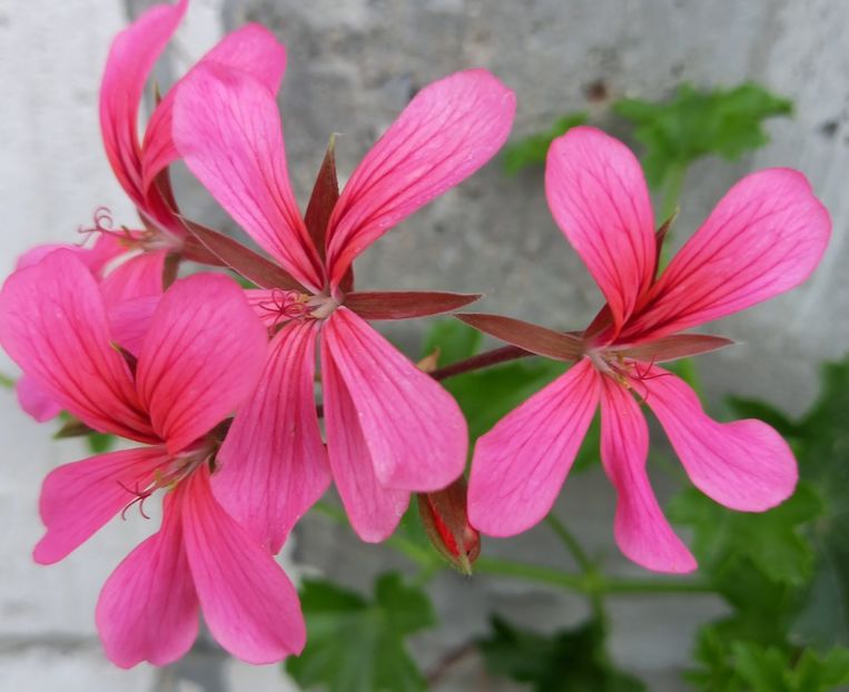  - Sub tutela soarelui